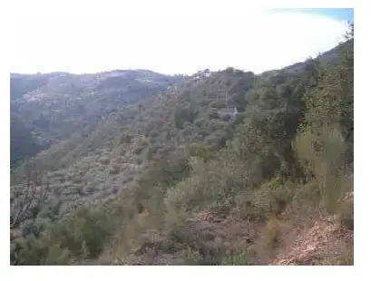 Finca rústica en venta en Periana