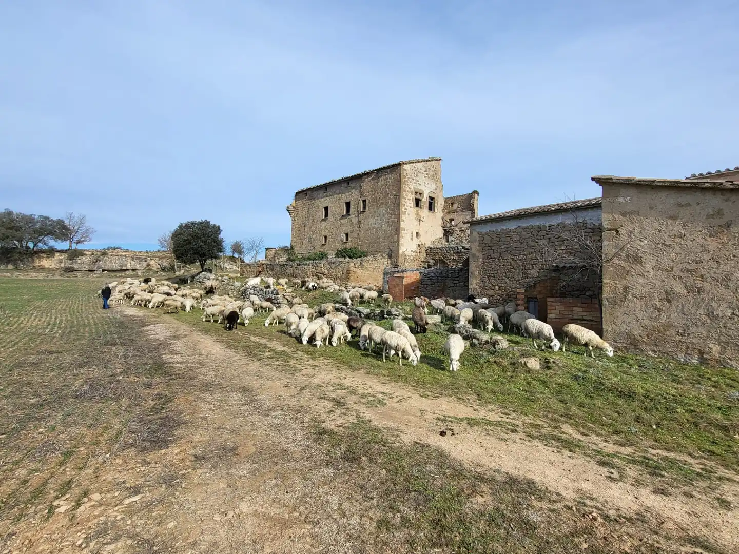 Vista exterior de Terreno en venta en Pinell de Solsonès