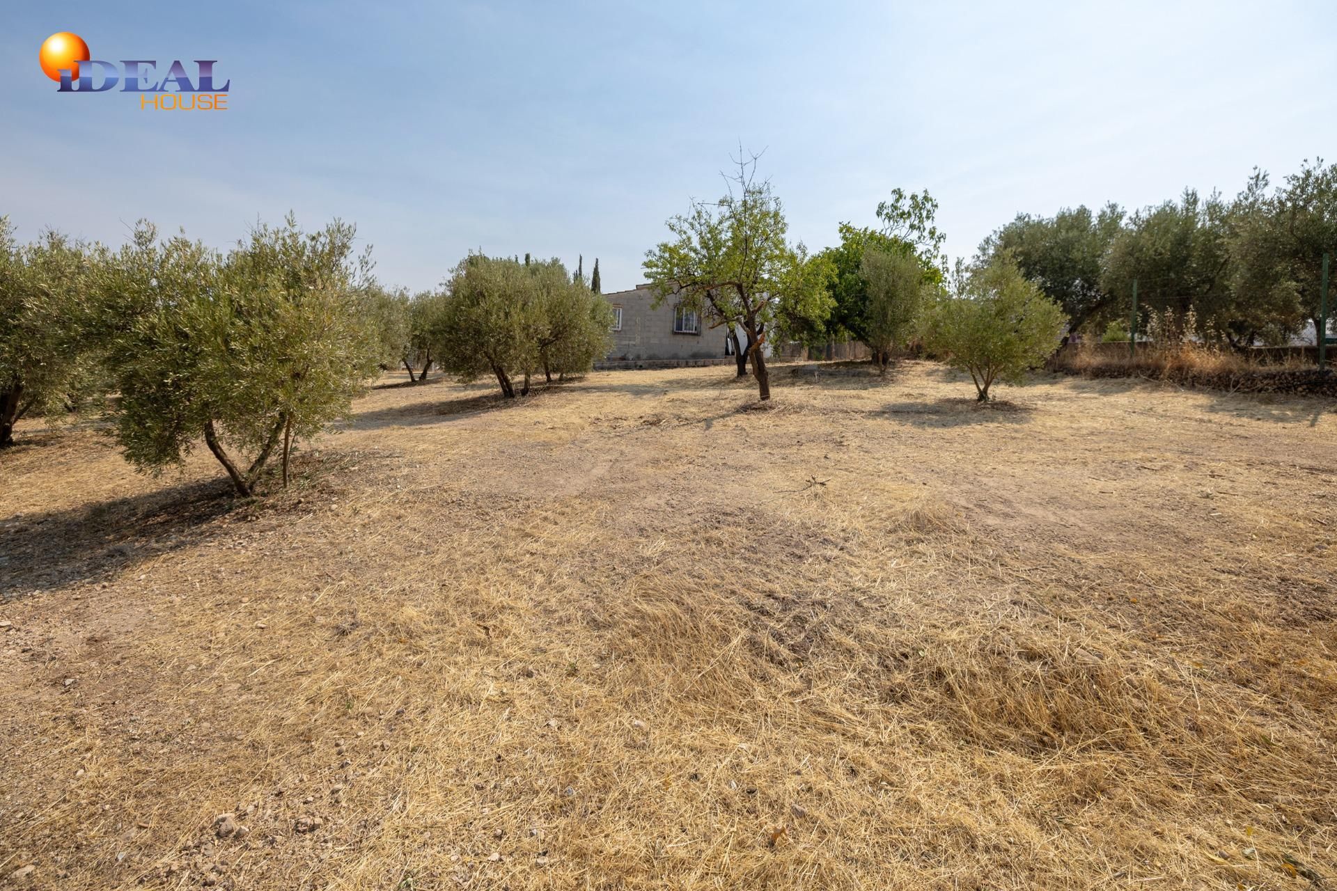 Finca rústica en venda en Moraleda de Zafayona
