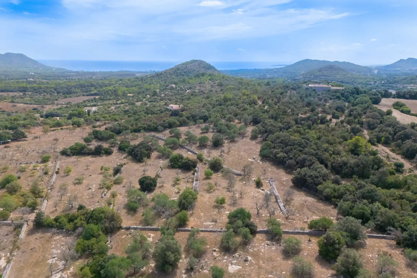 Terrain résidentiel à vendre à Son Servera Poble, imagen 3