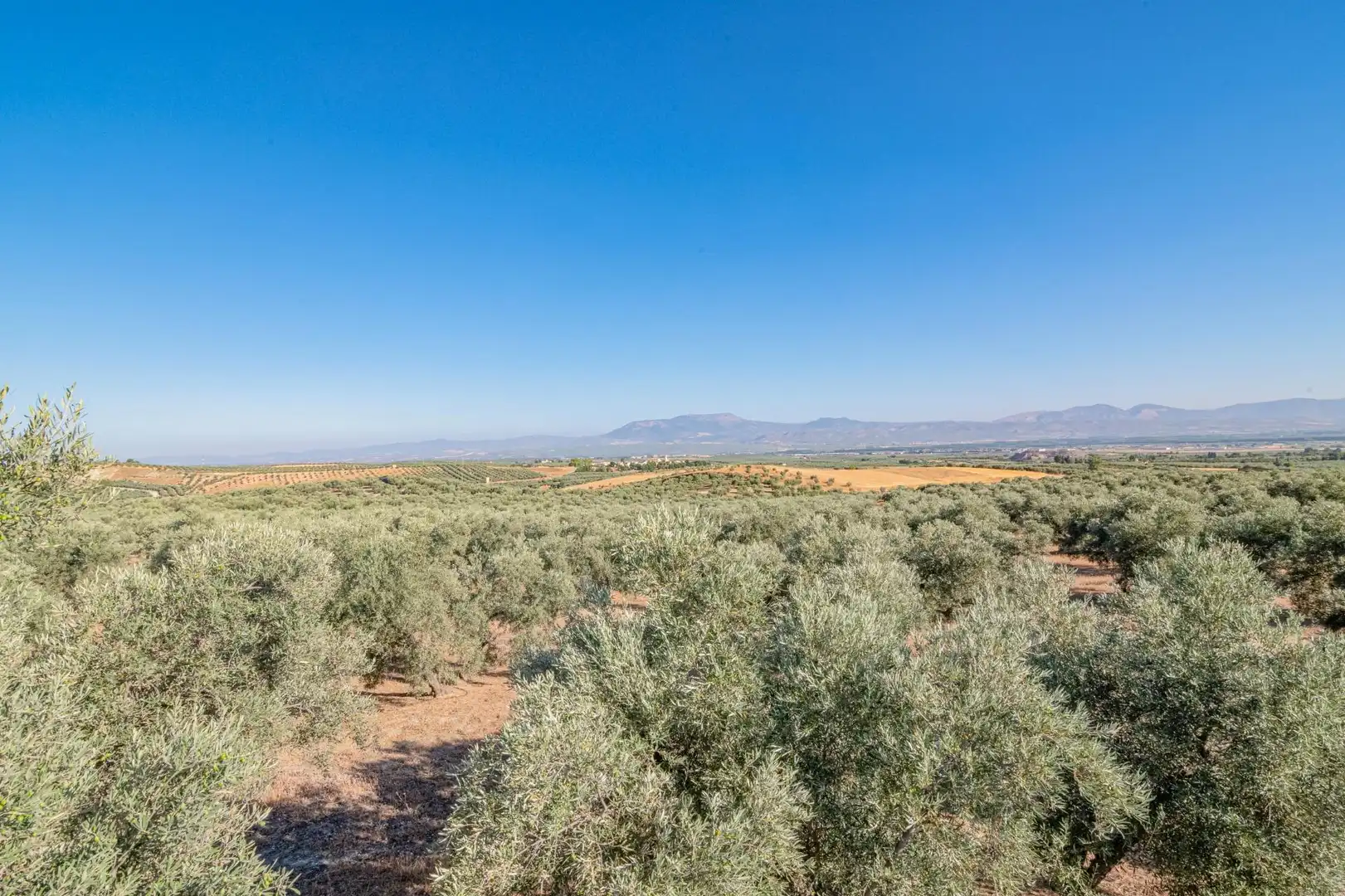 Apartments for sale in Santa Fe