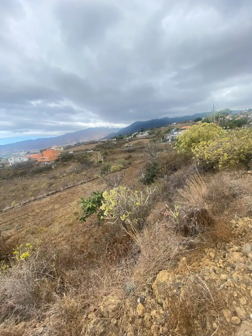 Finca rústica en venta en Los Llanos de Aridane con Jardín privado y Amueblado