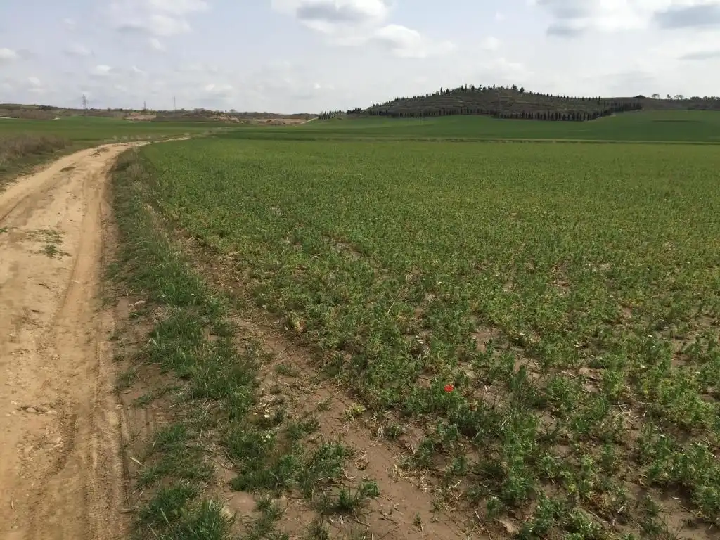 Residential for sale in Torres de la Alameda