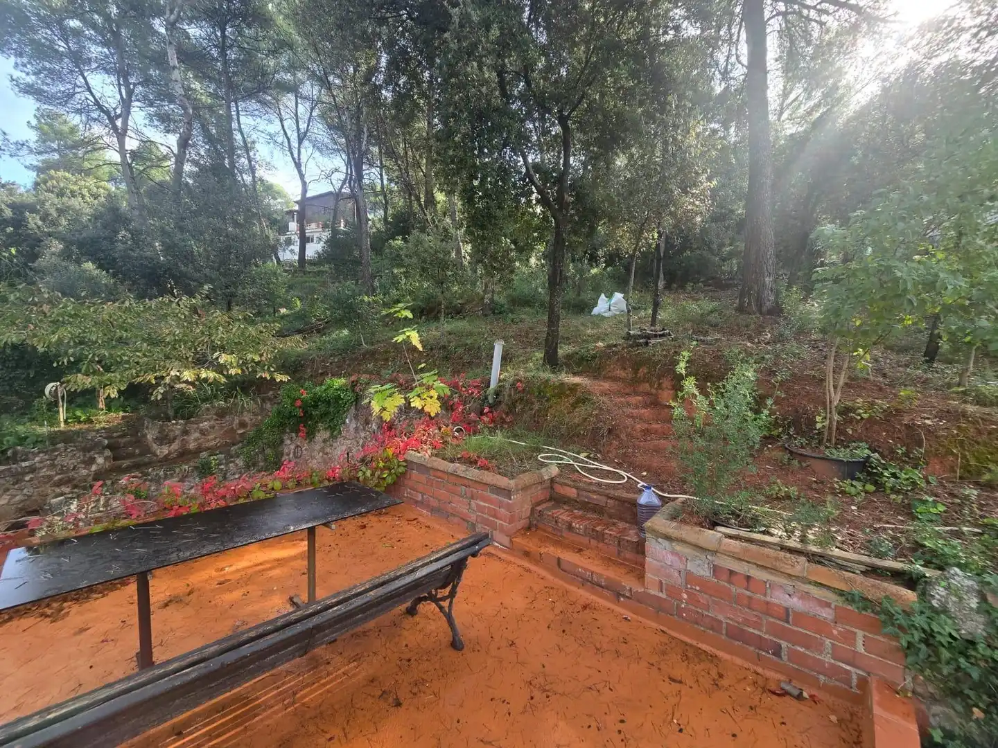 Lands and plots for sale in Airesol, imagen 9