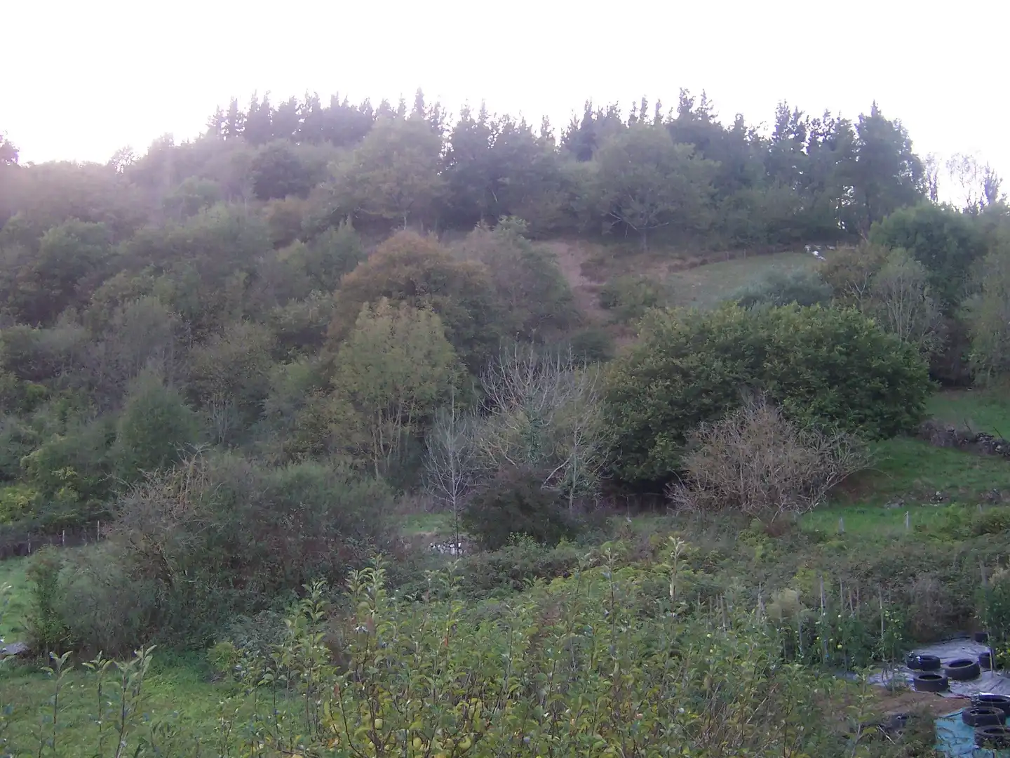 Casa o xalet en venda en Luena  amb Jardí privat, Terrassa i Moblat