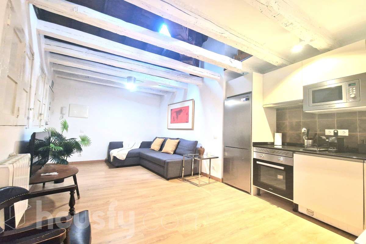 Living room of Duplex for rent in  Madrid Capital  with Air Conditioner, Heating and Furnished