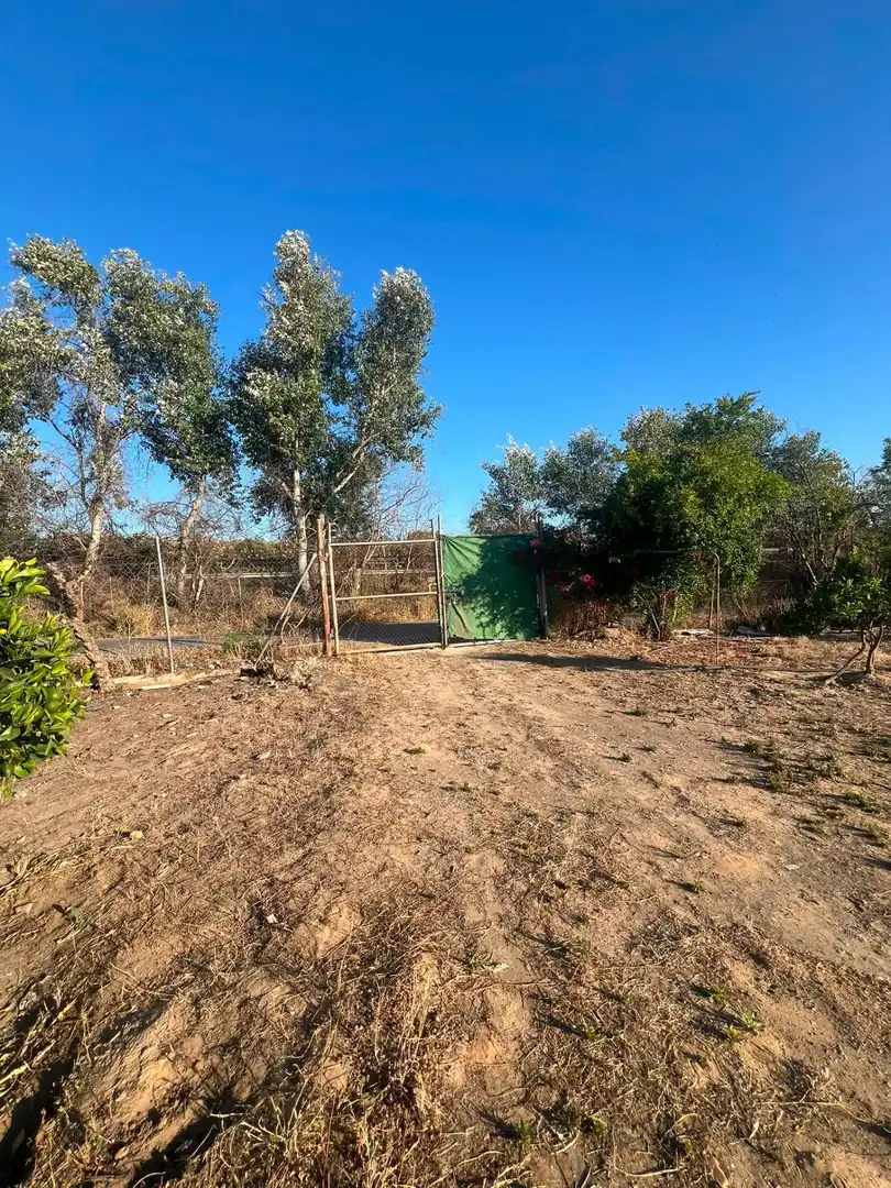 Casa o chalet en venta en Los Palacios y Villafranca