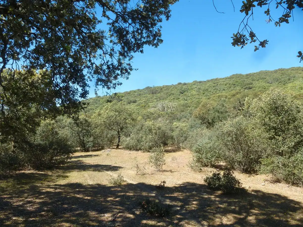 Terreni e lotti in vendita a Madroñera, imagen 3