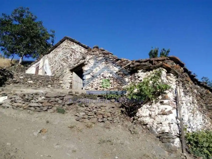 Vista exterior de Piso en venta en Capileira con Jardín privado
