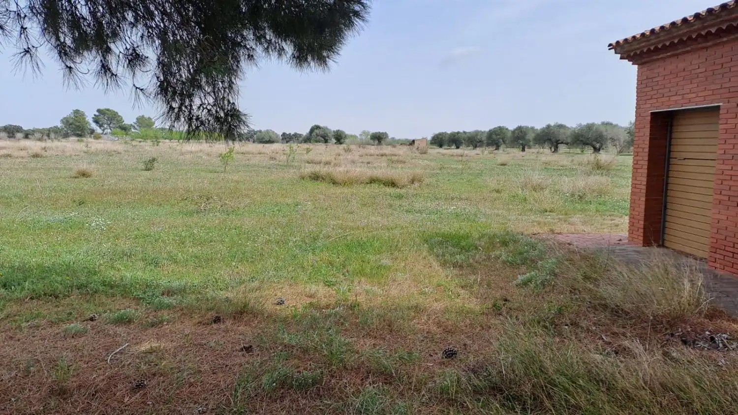 Finca rústica en venta en Constantí