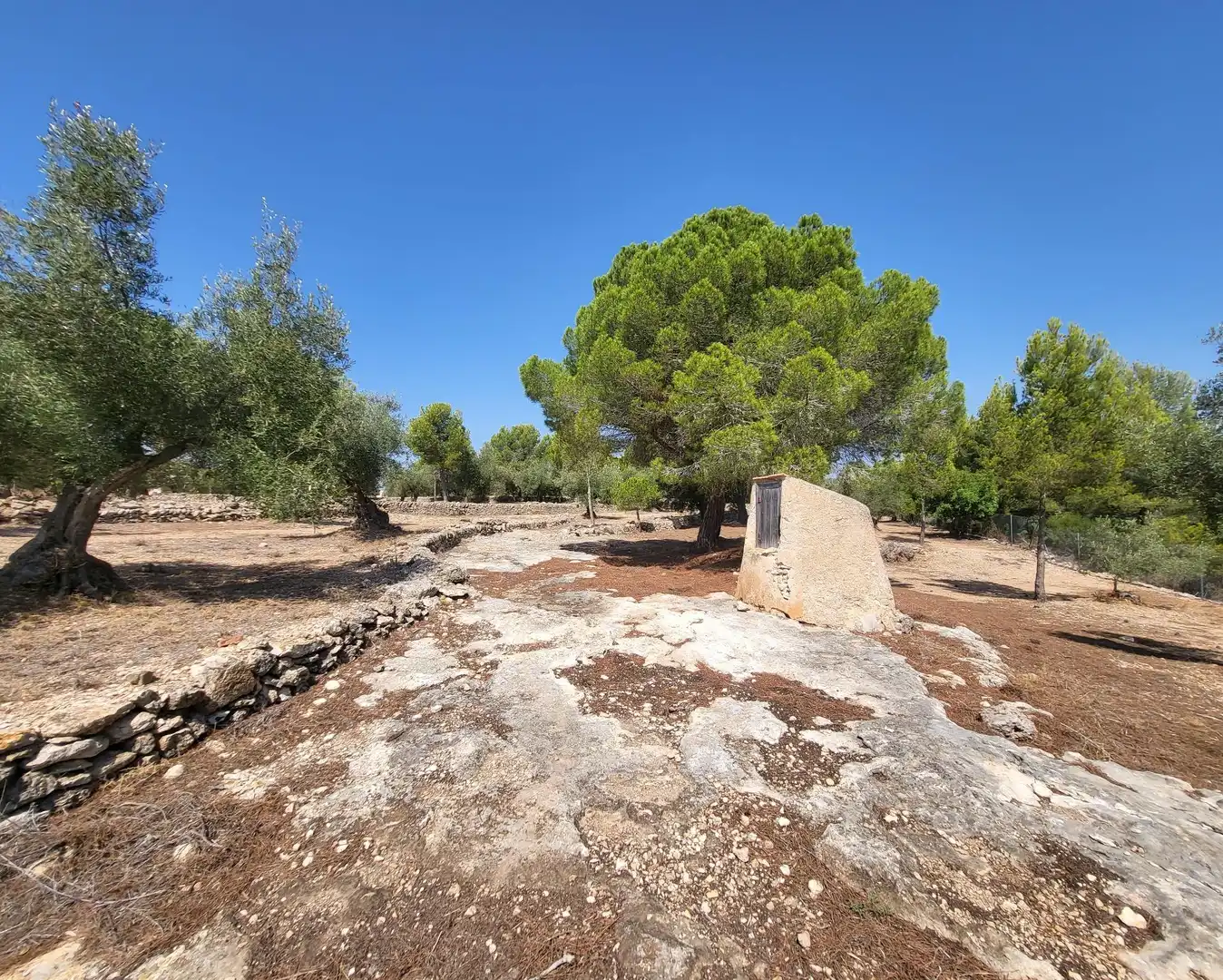 Landhaus mit Garten zum Verkauf in L'Ametlla de Mar pueblo, imagen 61