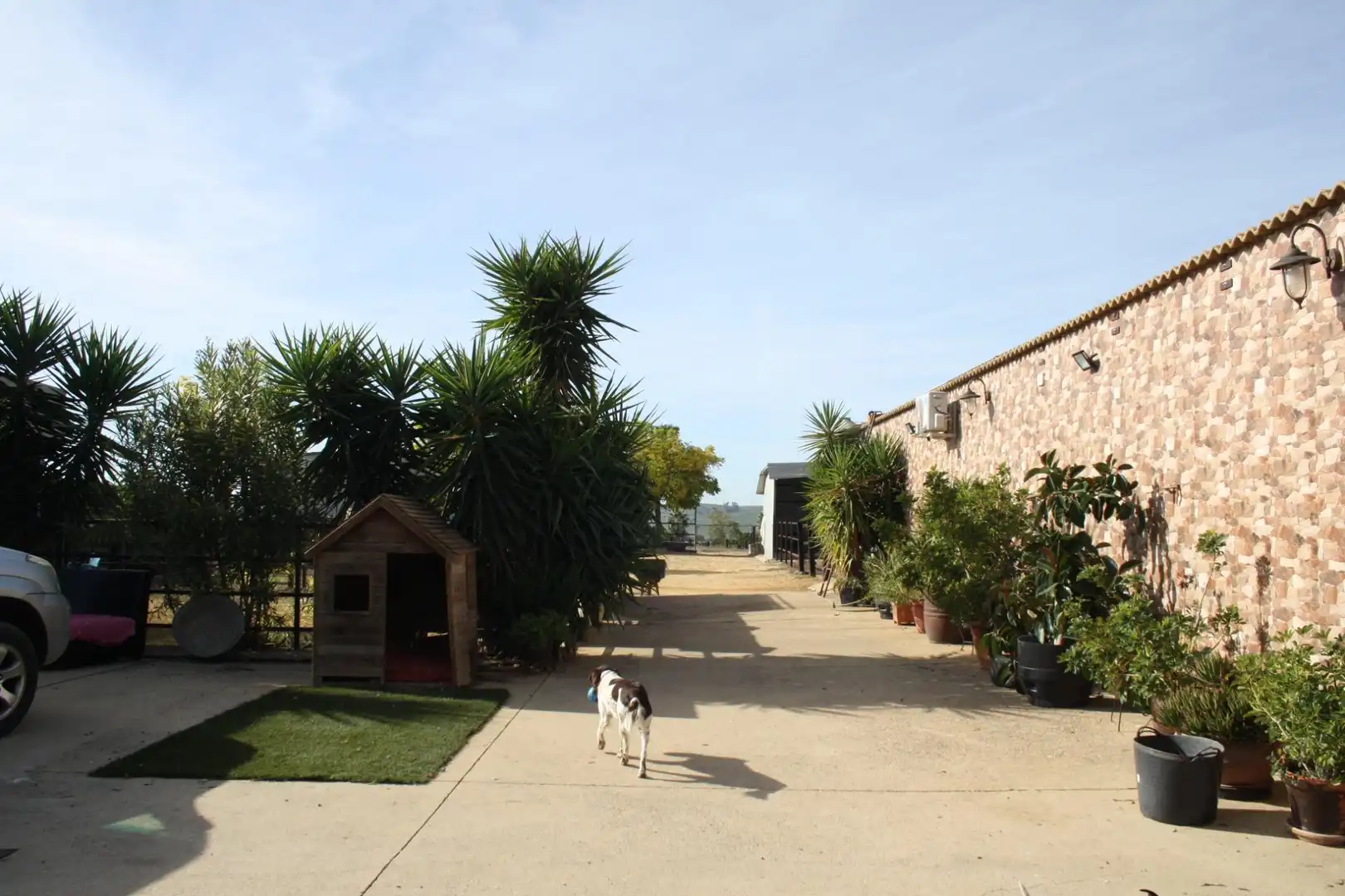 Houses for sale in Avenida REYES DE ESPAÑA, 66, Castilleja del Campo