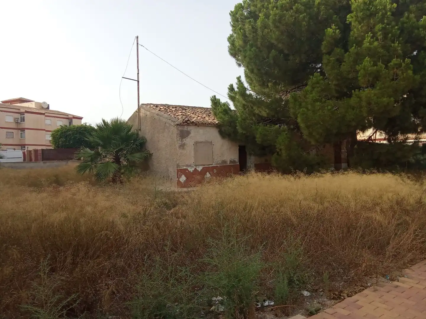Finca rústica en venta en San Pedro del Pinatar con Jardín privado y Trastero