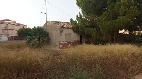 Foto 5 de Finca rústica en venda a Los Peñascos - El Salero - Los Imbernones, San Pedro del Pinatar