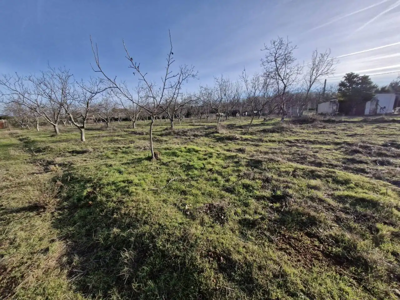 Rural land for sale in Calle DISEMINADO, imagen 21