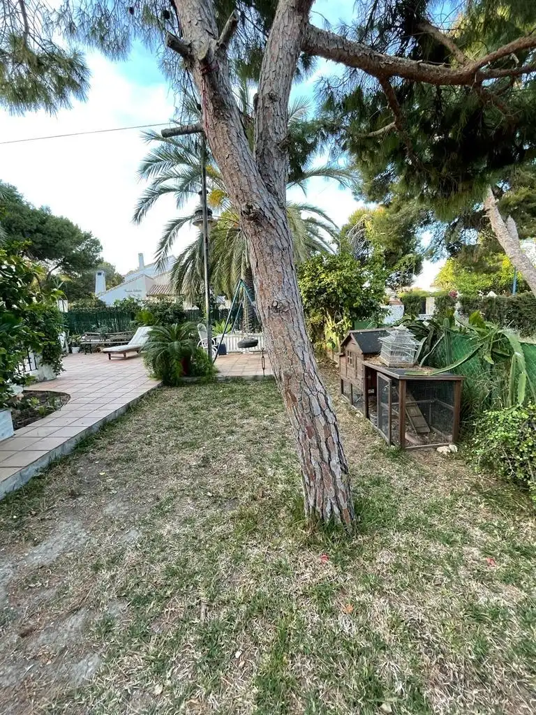 Jardí de Casa o xalet en venda en Orihuela amb Jardí privat, Terrassa i Traster