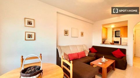Foto 5 de Habitació a Campoamor, Orihuela