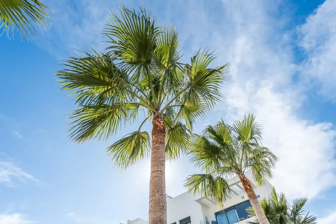 Exterior view of Flat for sale in Jávea / Xàbia  with Air Conditioner, Private garden and Storage room