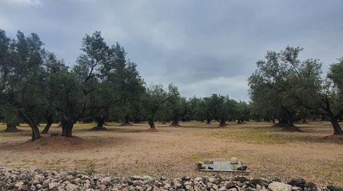 Finca en venta en Xerta, immagine 4