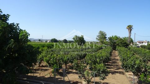 Foto 2 de Finca rústica en venda a Guadassuar, Valencia