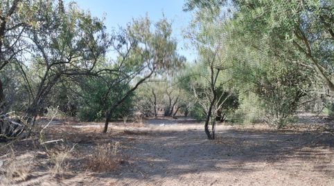 Foto 4 de Casa o chalet en venta en V Centenario - Piletas - Capuchinos, Sanlúcar de Barrameda