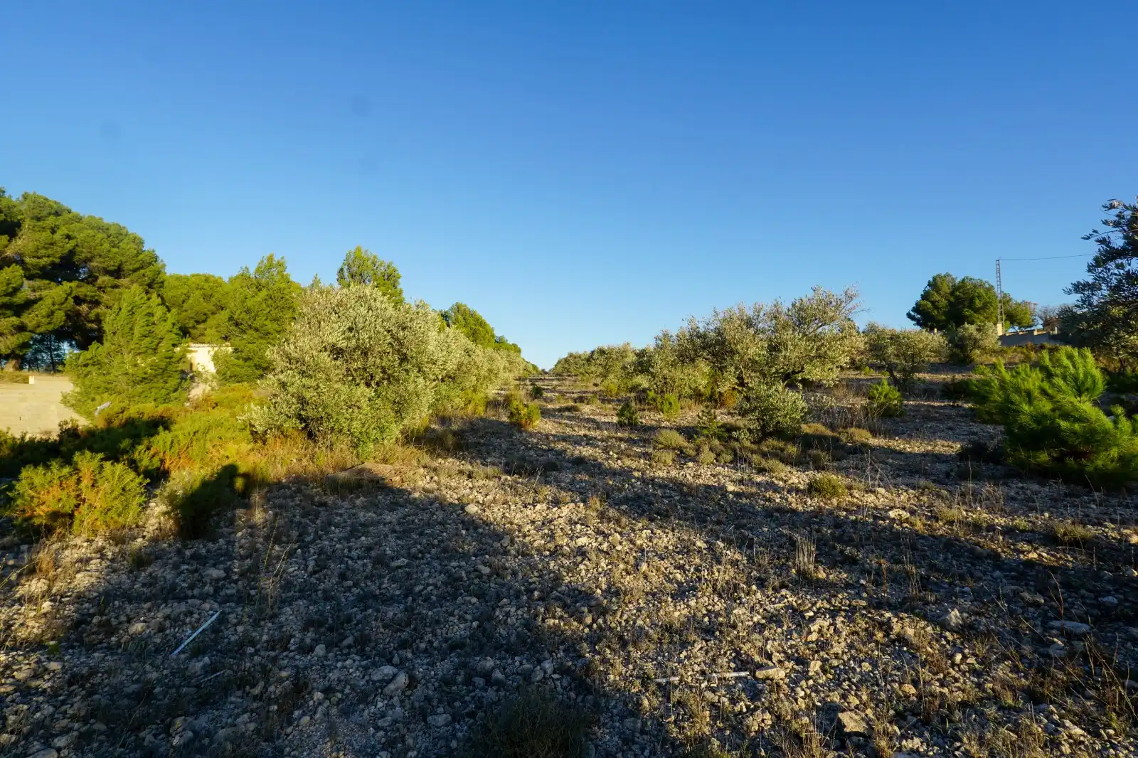 Finca rústica en venta en Ibi con Jardín privado y Terraza