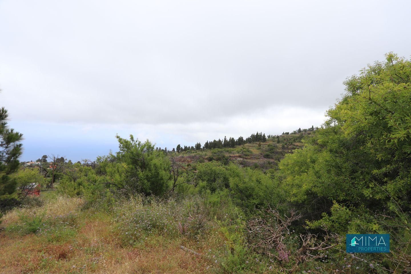 Land for sale in Garafía