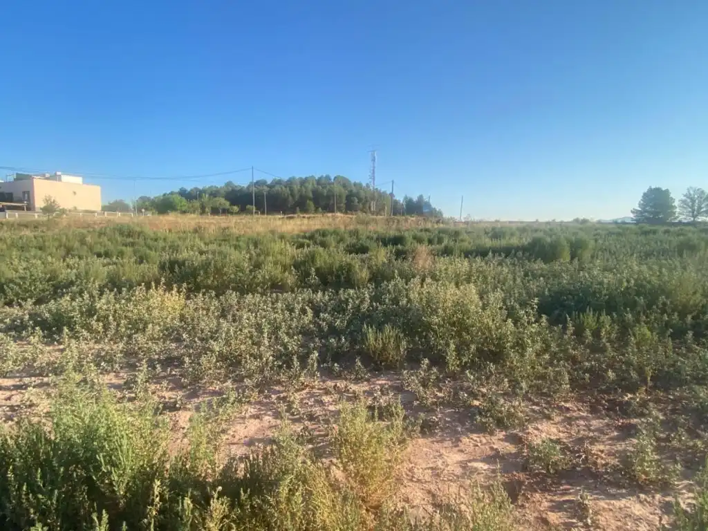 Terreny residencial en venda a Sant Fruitós de Bages, imagen 12
