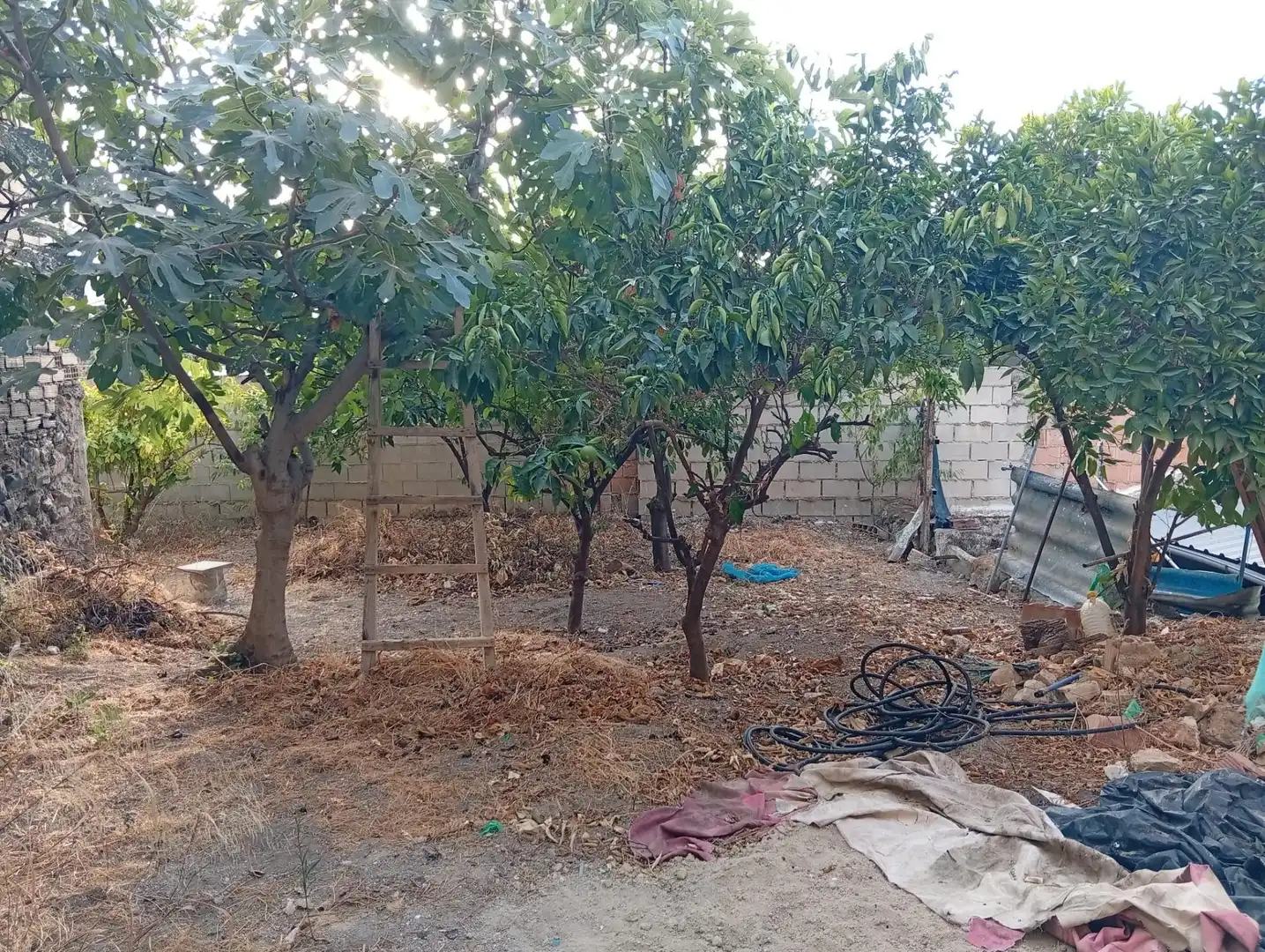 Casa in vendita a Cuevas de San Marcos, imagen 27