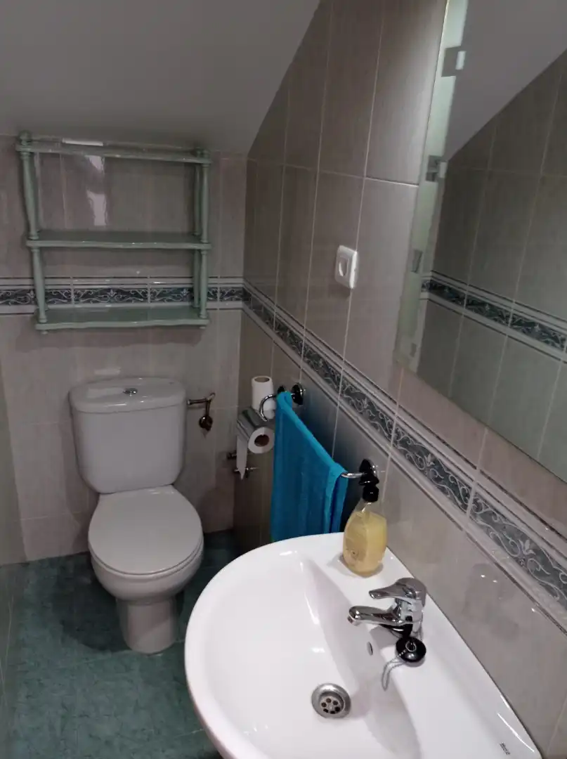 Bany de Casa o xalet en venda en Sardón de Duero amb Calefacció, Jardí privat i Terrassa