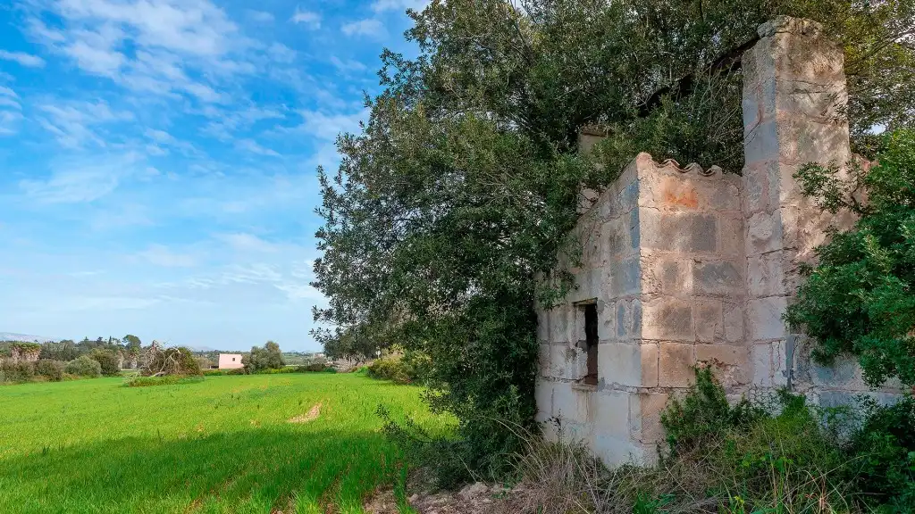 Rural land for sale in Muro, imagen 13