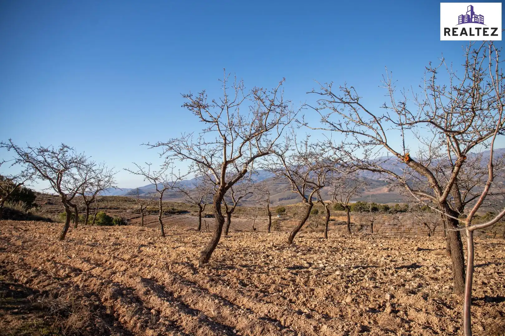 Terrain rustique à vendre à Alcolea, imagen 5