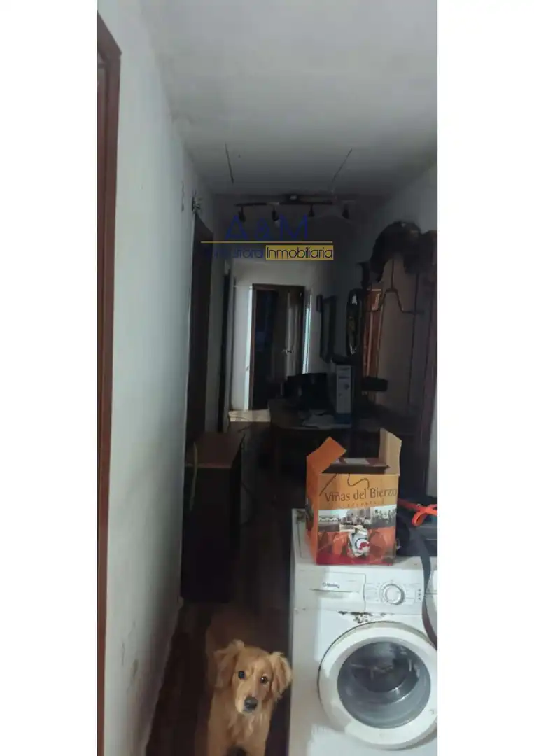 Maison à vendre à Rio, imagen 2