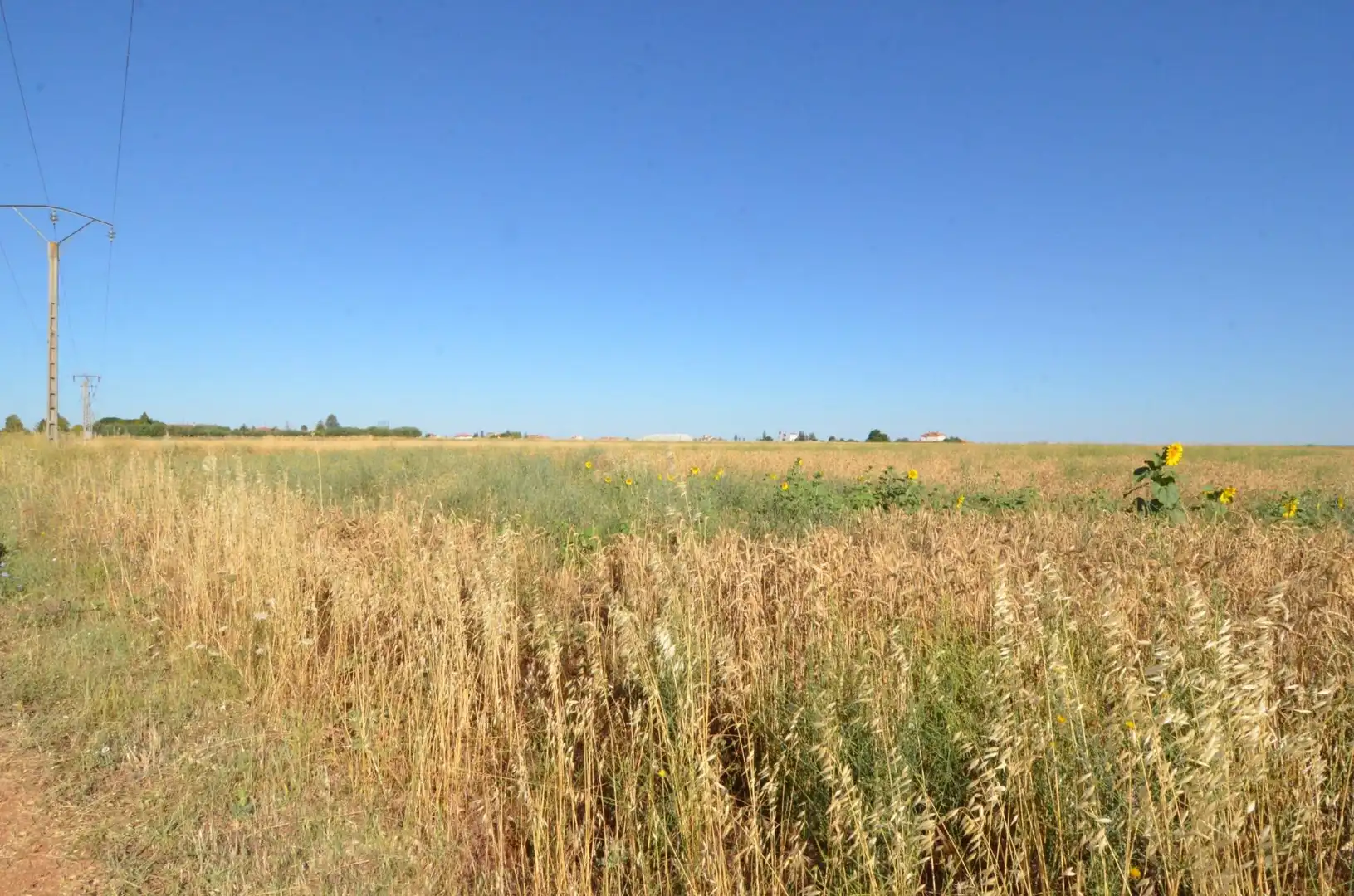 Rural land for sale in Calzada de Valdunciel, imagen 4