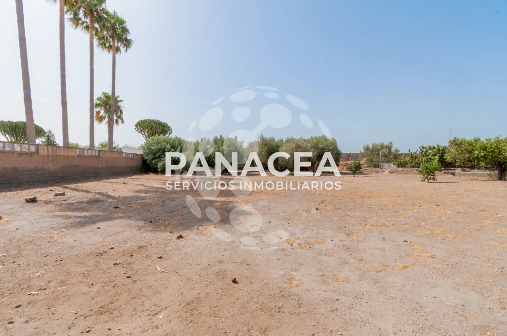 Casa o xalet en venda en Pechina amb Jardí privat, Piscina i Moblat