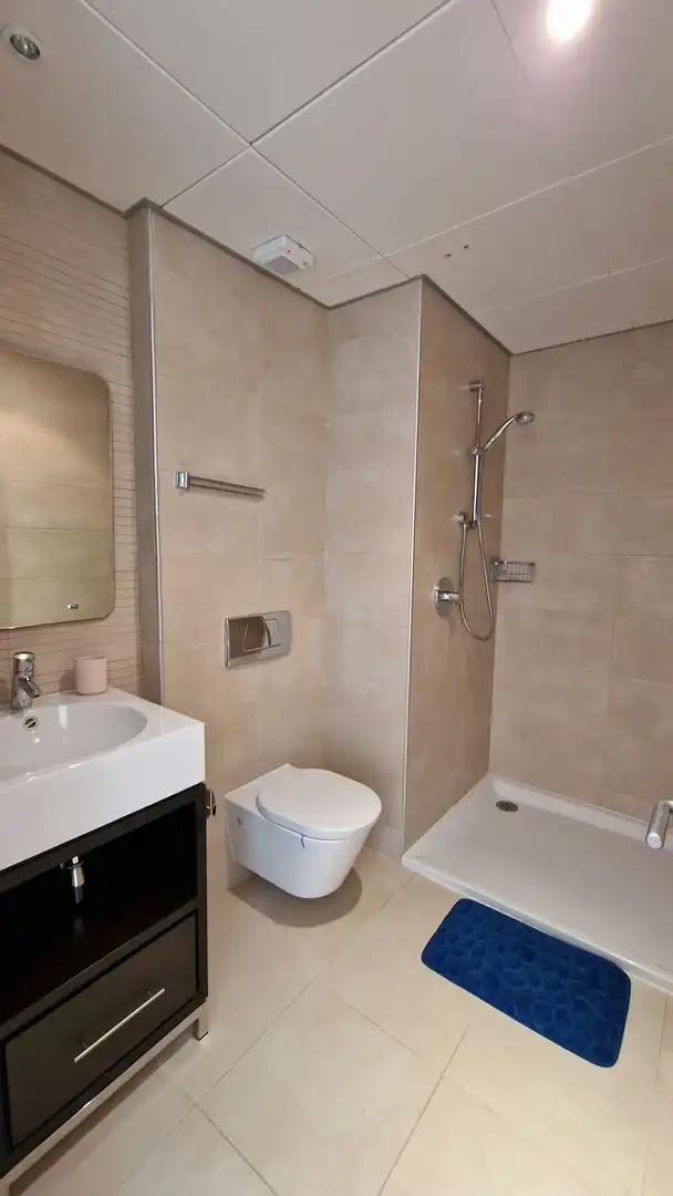 Apartments for rent in Alto de los Monteros