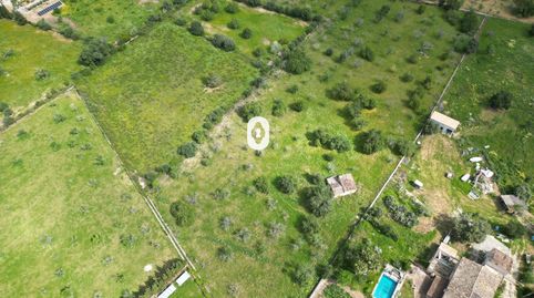 Se vende terreno con proyecto básico, Selva., immagine 4