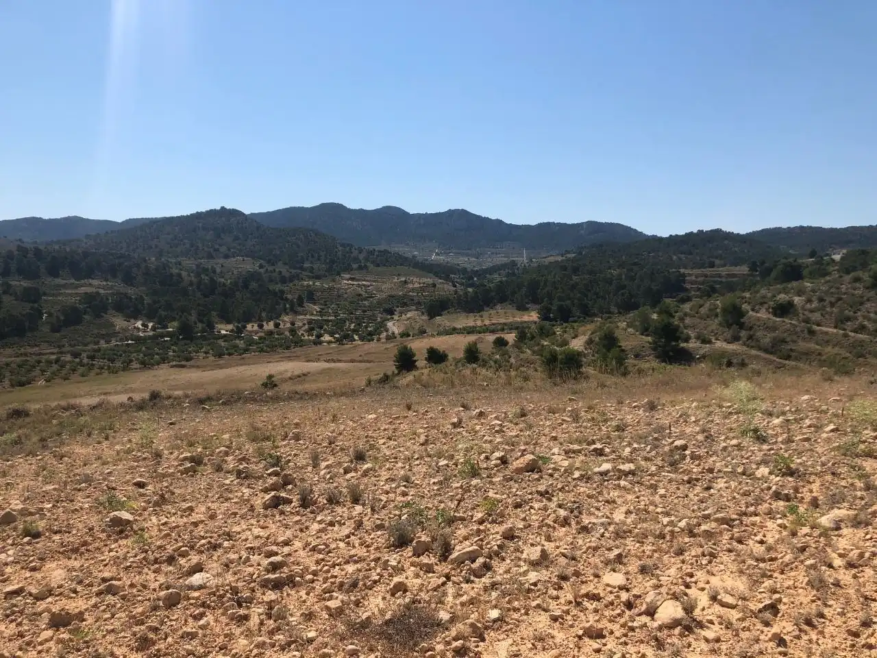 Rustikales Grundstück zum Verkauf in Jumilla