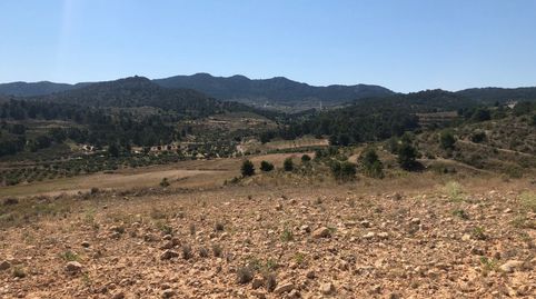 Parcela Urbanizable en La Zarza Jumilla 37.566 m