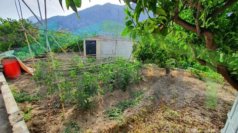 Foto 4 de Finca rústica en venda a Partida Font de Mira, Orxeta, Alicante