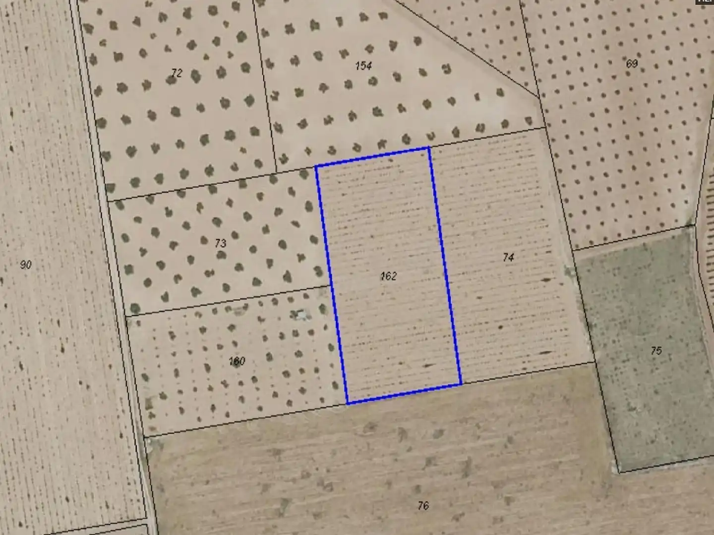 Land for sale in Membrilla