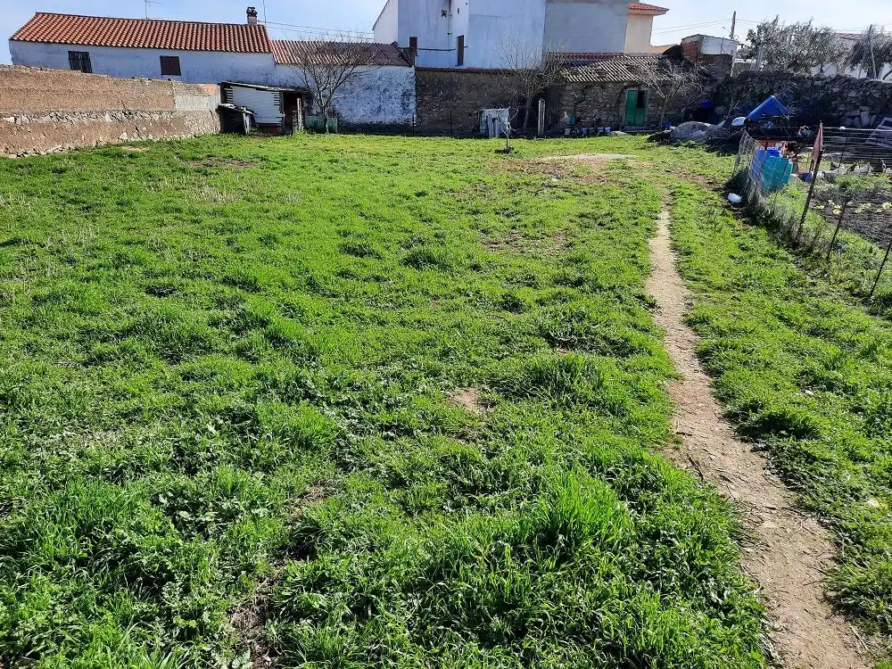 Residential for sale in Navas del Madroño