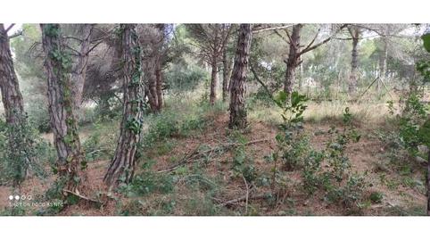 Photo 5 of Residential for sale in Urbanitzacions, Sant Pol de Mar