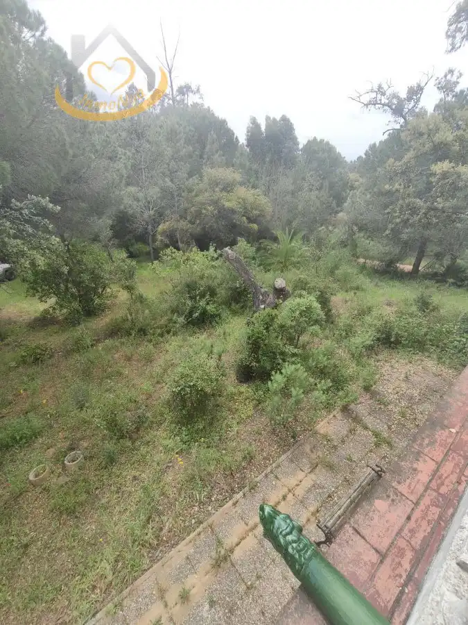 Terreni e lotti in vendita a Villablanca, imagen 22