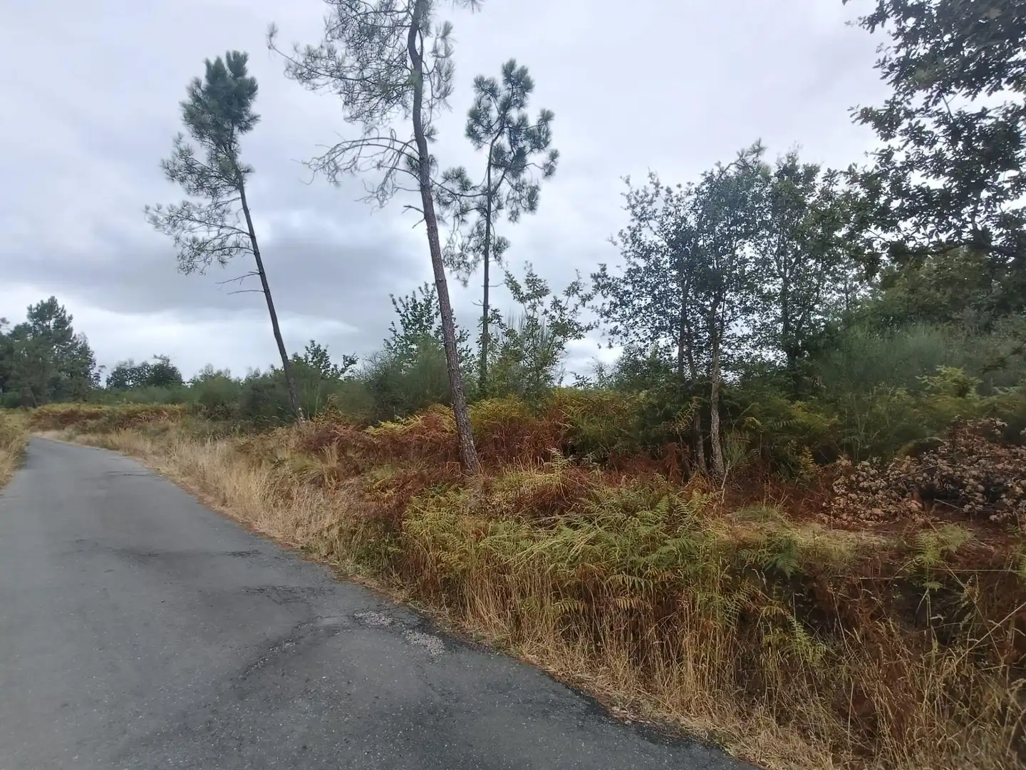 Terreny residencial en venda a Lugar Os Petraños
