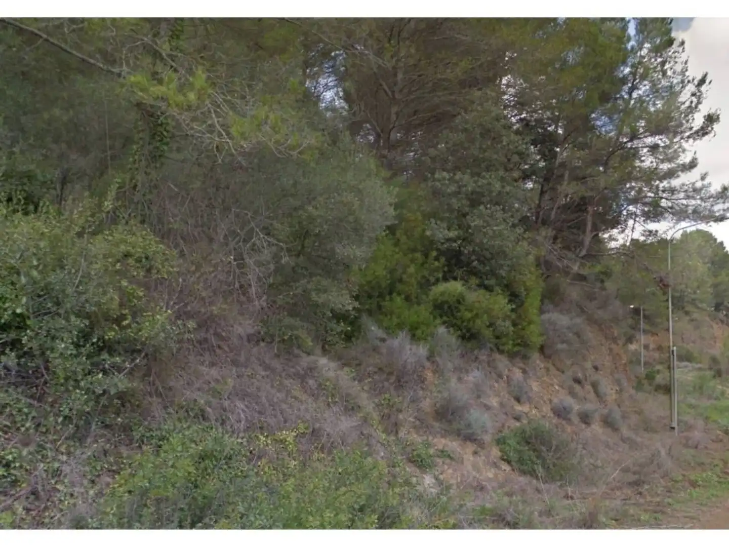 Terreno rustico in vendita a Calle de les Rutxel les 128, imagen 3