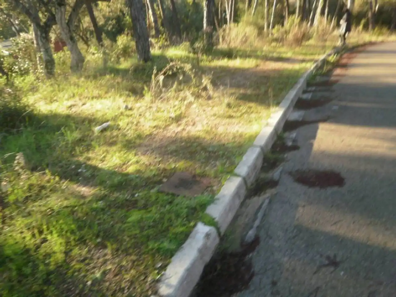 Terreny residencial en venda a Residencial Park