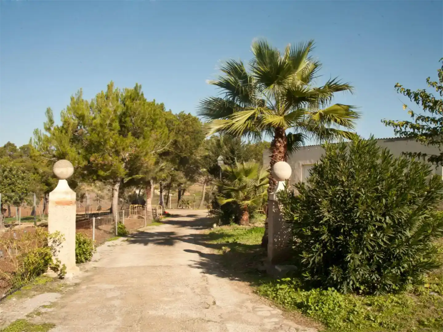 Vista exterior de Finca rústica en venda en  Palma de Mallorca amb Aire condicionat i Piscina