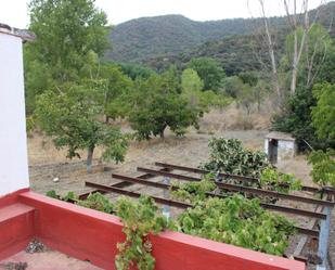 Jardí de Casa o xalet en venda en Faraján amb Piscina