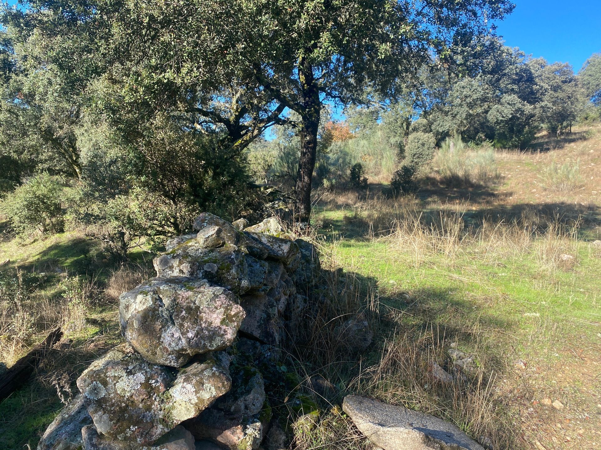Finca rústica en venda en El Real de San Vicente amb Aire condicionat, Calefacció i Jardí privat